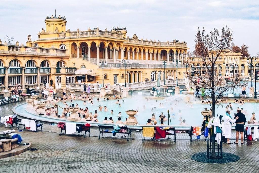 Wellness Wonderland Garden, Sauna, Jacuzzi In Cbd Budapesta
